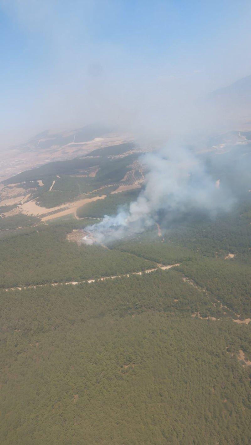 İzmir’in Foça ilçesinde orman yangını çıktı!