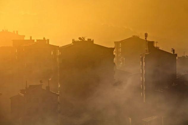 ZXjZw 1629786261 9132