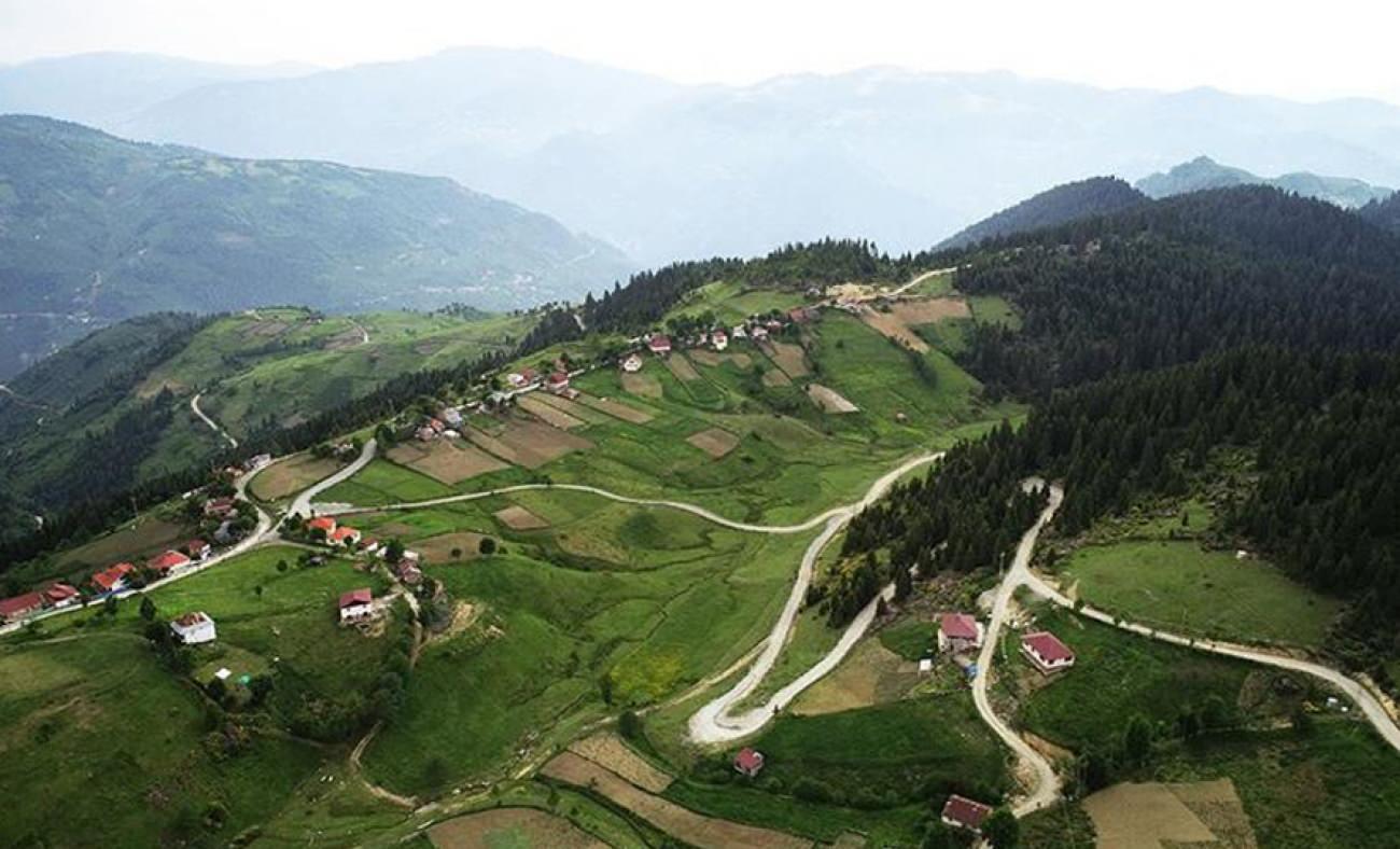 Karadeniz'in gizli cevheri: Çambaşı Yaylası