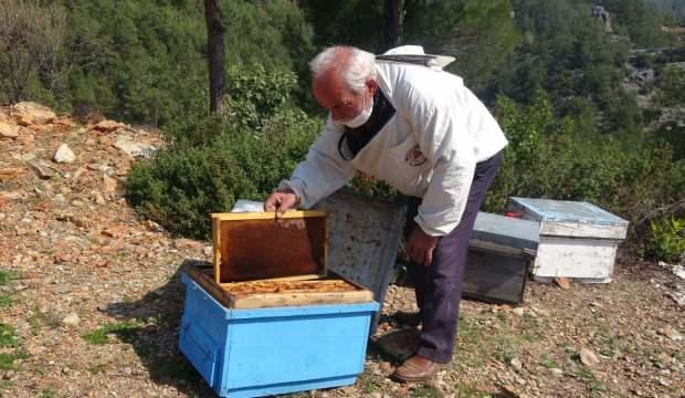 Kovanlarını eşek arılarından korumak isterken canından oldu 