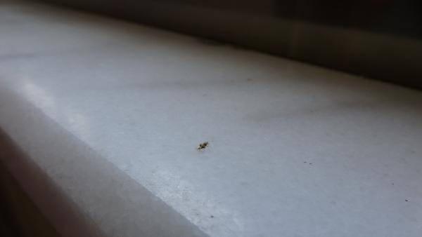 oQ8Oa 1631611841 4359