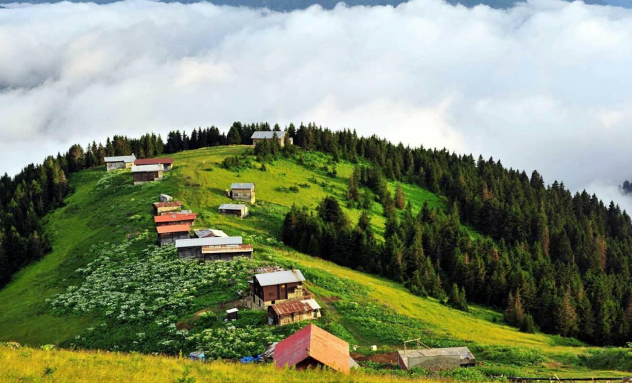 Rize'de yeşilin binbir tonuna kucak açın! Rize'de mutlaka görülmesi gereken yerler