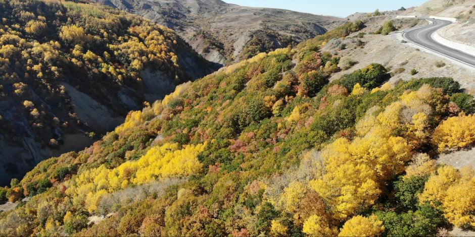 Sonbahar renkleri Erzincan ormanlarına çok yakıştı