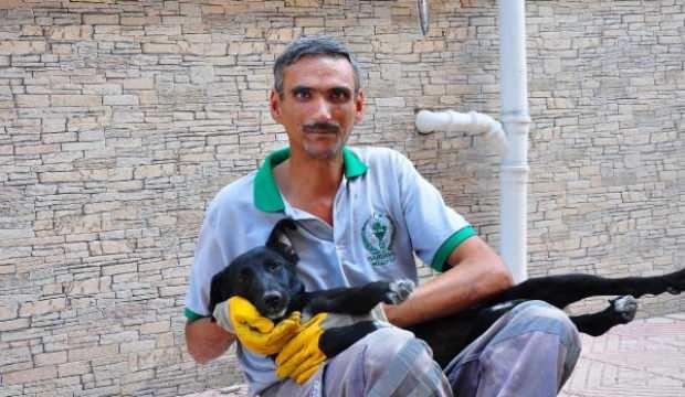 Sokak köpeği, temizlik işçisinin yanından bir an olsun ayrılmıyor