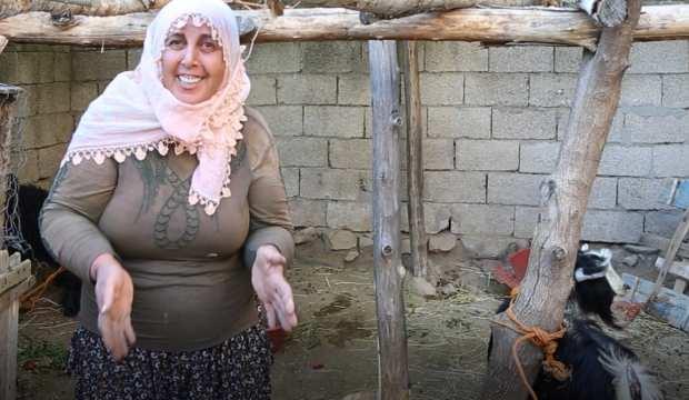 Ergani'de köpek saldırısında keçileri telef olan kadına kaymakam sahip çıktı
