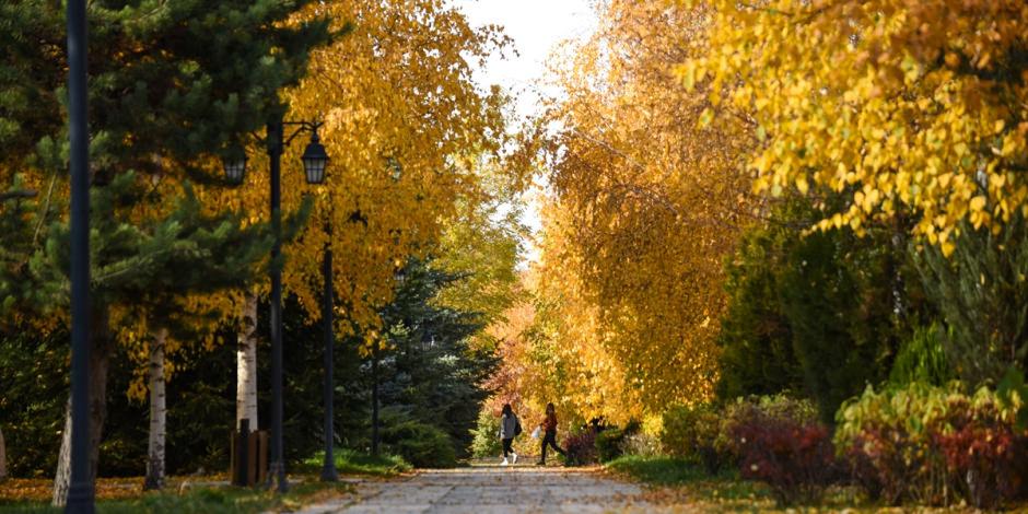 Erzurum Botanik Park'ta sonbahar manzarası mest etti