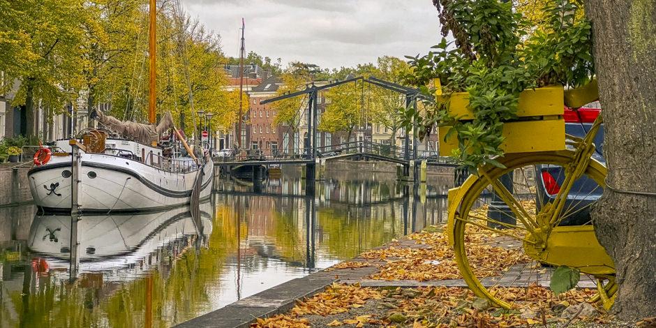 Hollanda'dan muhteşem sonbahar manzaraları