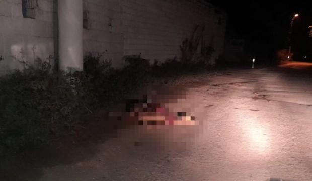 İzmir’de feci kaza! 10 hamile koyun telef oldu   