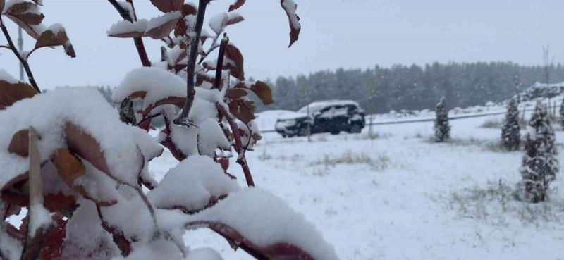 3fV7i 1635506539 4065