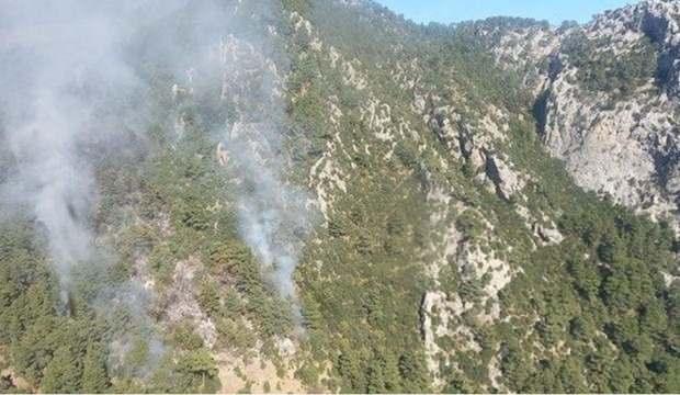 Orman yangınına neden olan 7 turist tutuklandı