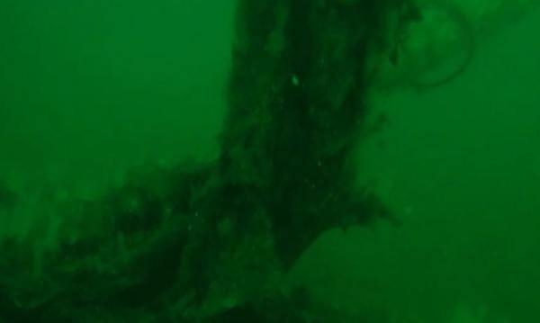 4t3cX 1635753185 2401