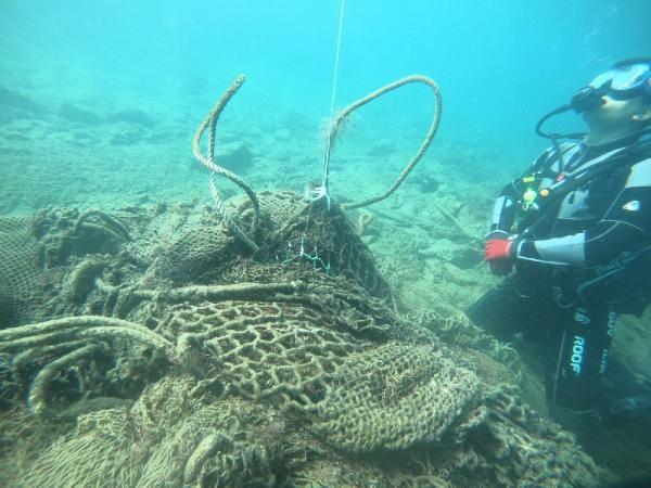 BBtsK 1635753196 5269