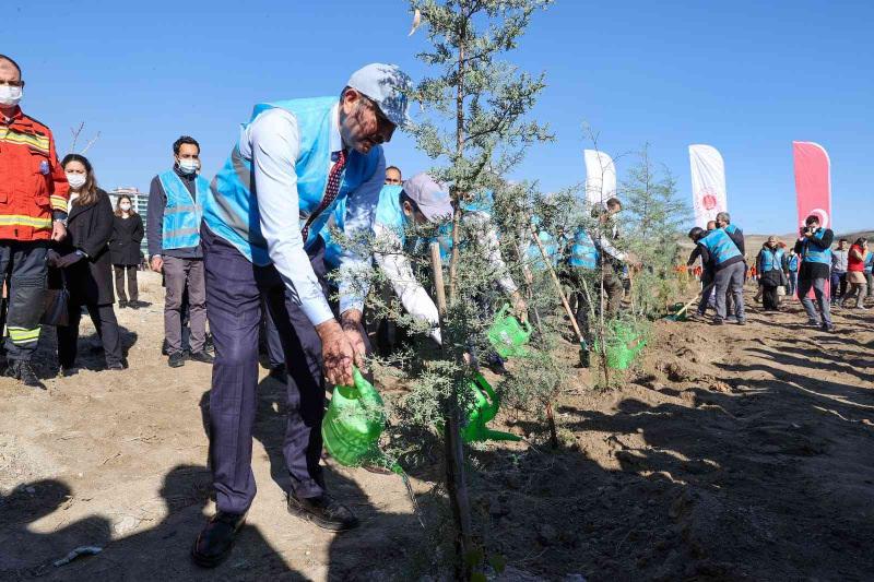Abdulhamit Gül, 11 Kasım Milli Ağaçlandırma Günü
