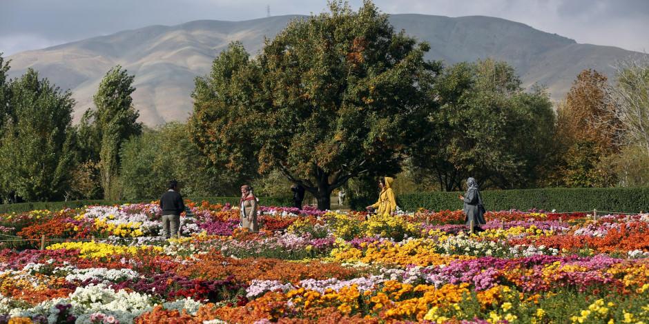 Tahran'da şehrin stresinden kaçmak isteyenlerin adresi: "İran Milli Botanik Bahçesi"