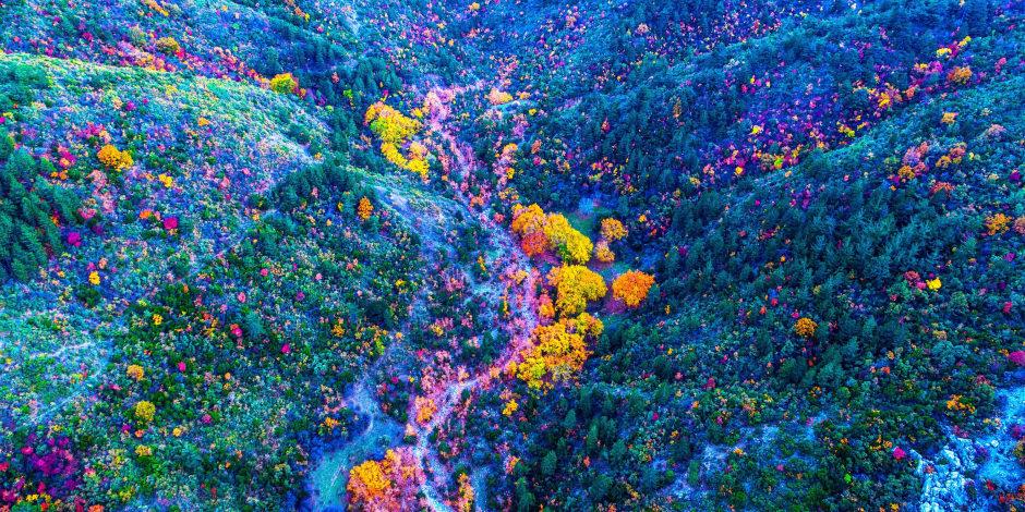 Spil Dağı'ndan harika sonbahar manzaraları