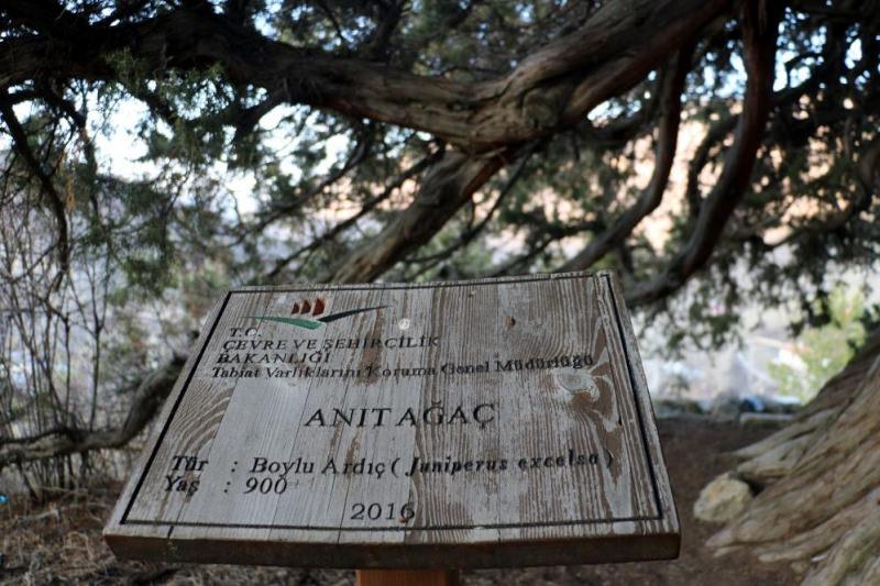 3WIMV 1638431132 374