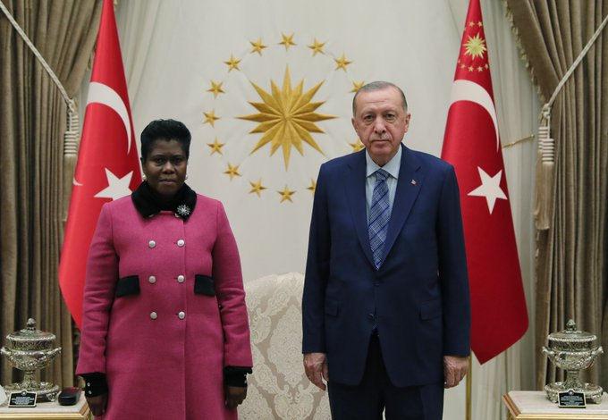 Cumhurbaşkanı Erdogan ve Dipuo Letsatsi-Duba