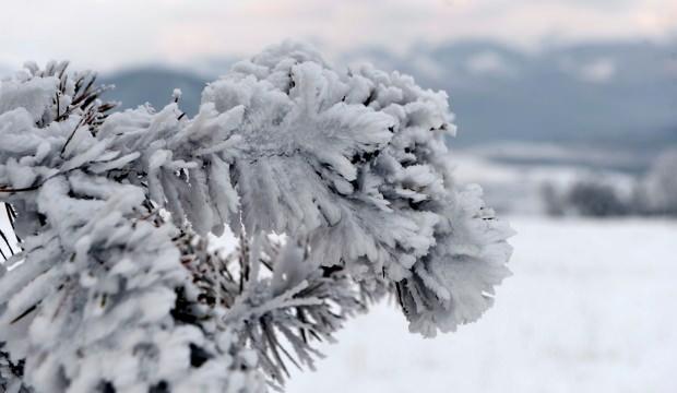 Meteoroloji’den Doğu Anadolu Bölgesine don uyarısı! Ardahan buz tuttu