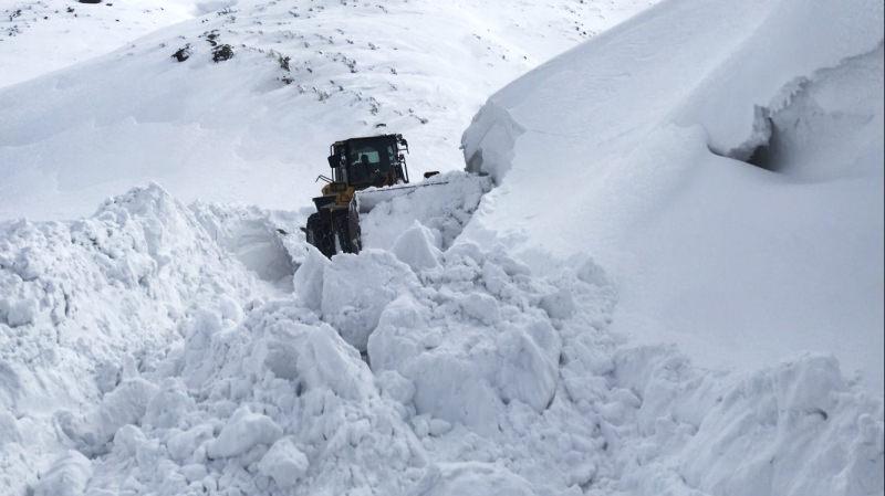 DM3Iw 1642316652 3434