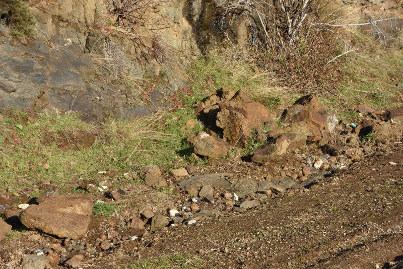 Sinop'ta düşen kayalar hane sahipleri tedirgin ediyor  