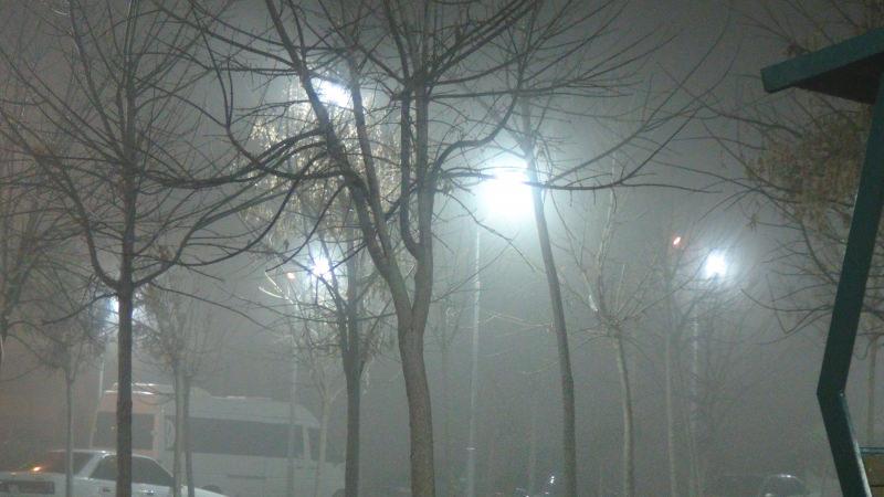 Şanlıurfa’da gece yarısı yoğun sis etkili oldu  