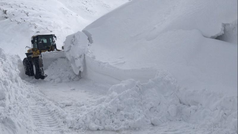 vEkZ5 1642316669 1797