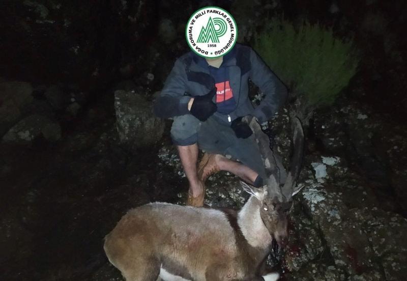 Denizli’de 4 yaban keçisini vuran 6 şahıs cezadan kaçamadı