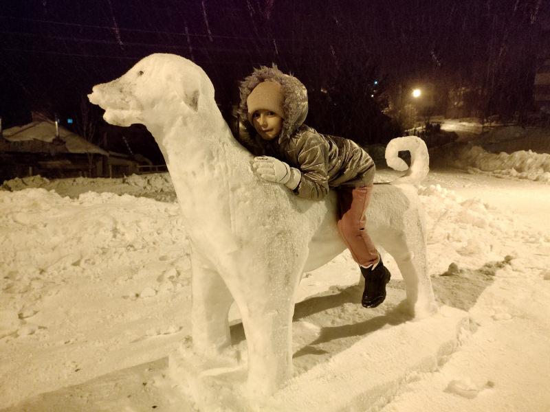 Sivas’ın kardan Kangal Köpeği ilgi odağı oldu 