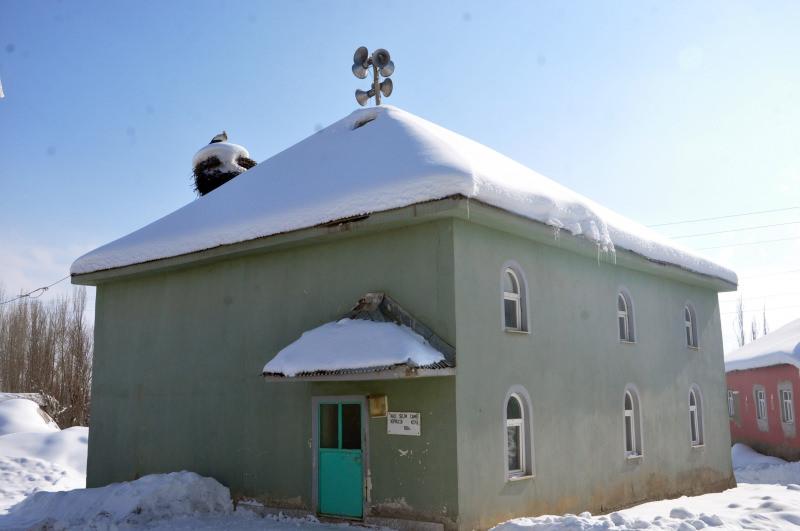 4 yıldır caminin bacasından ayrılmadı, leylek köyün vazgeçilmezi oldu 