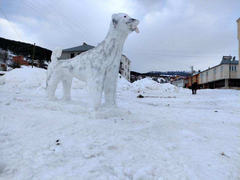 Sivas’ın kardan Kangal Köpeği ilgi odağı oldu 