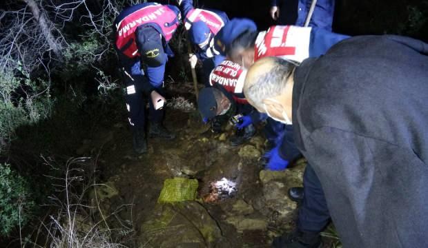 Antalya’da mezardan ağzı bağlanmış köpek cesedi çıktı   