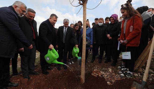 Şahinbey Belediyesi ağaçlandırma çalışmalarını sürdürüyor