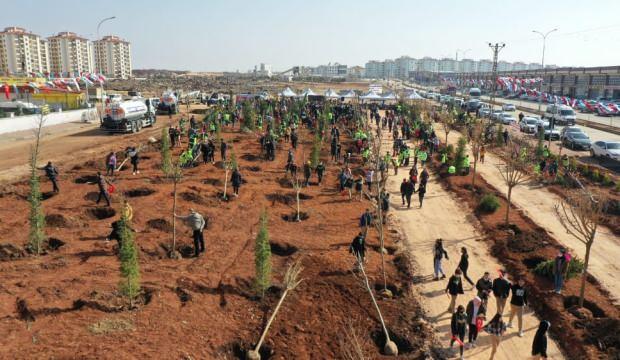 Şahinbey Belediyesi şehit isimlerini ağaçlarda yaşatacak