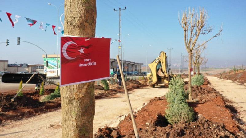 Şahinbey Belediyesi şehit isimlerini ağaçlarda yaşatacak