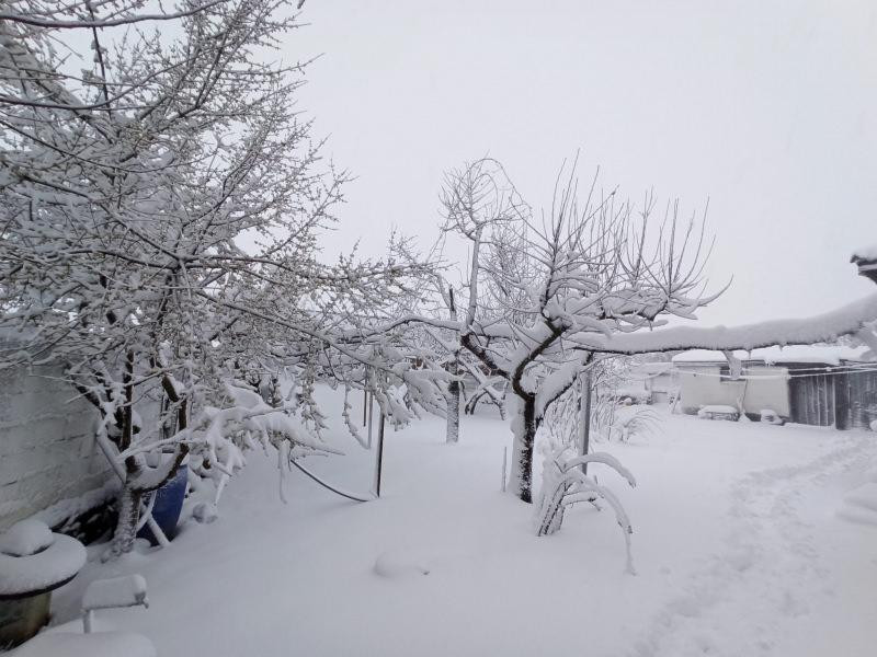 Balkanlar’dan yurda giriş yapan kar yağışı Edirne’de