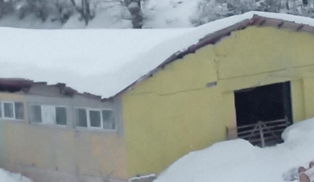 Artvin’de kar yağışı 5 besi ahırın çatısını çökertti!