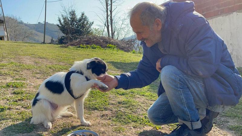 Hanife-Erol Türkmen çifti kaybettikleri köpeklerine tekrar kavuştu