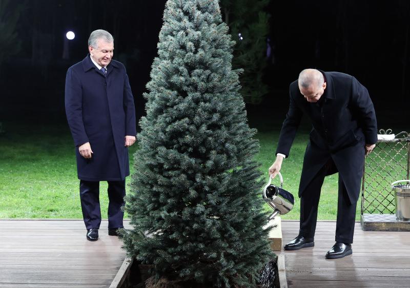 Cumhurbaşkanı Erdoğan, Özbekistan’da dostluk ağacı dikti