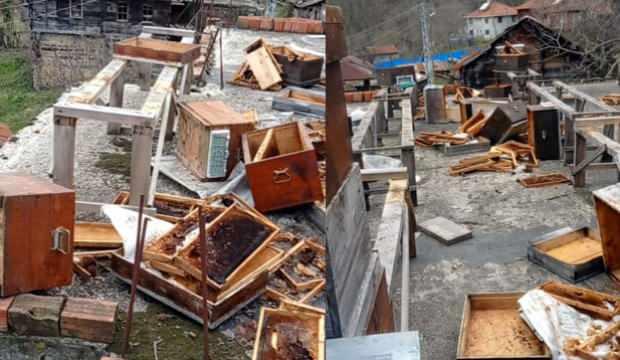 Ayancık’ta ayılar iki katlı evin çatısındaki arı kovanlarını parçaladı
