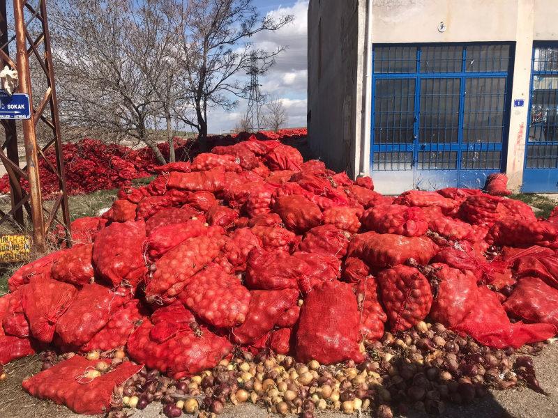 Başkent’te yol kenarına atılmış yüzlerce çuval soğan bulundu