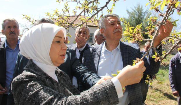 Malatya’da zirai don nedeniyle hasar tespit çalışmaları başladı