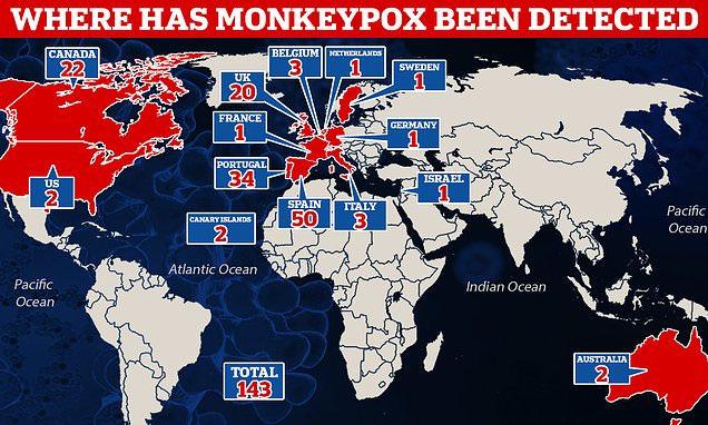Maymun çiçeği virüsünün görüldüğü ülkeler ve vaka sayıları (Harita: Daily Mail)