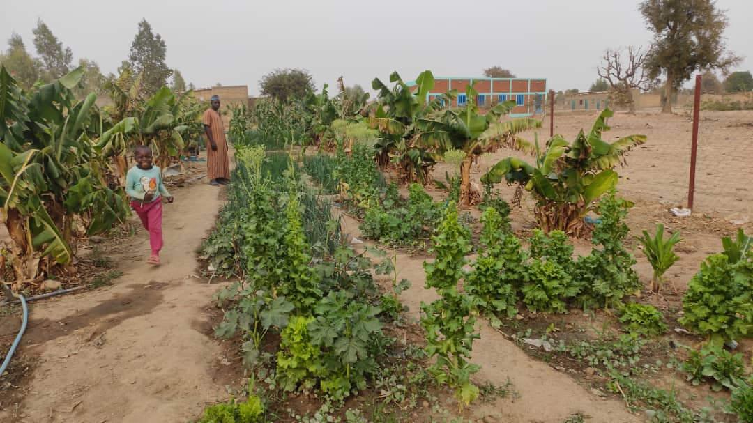 İDDEF Batı Afrika ülkesi Burkina Faso’da Örnek Köy Projesi’ni hayata geçirdi