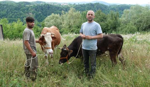 Yıldırım düşmesi sonucu hayvanları telef olan besiciye yardım eli meslektaşından geldi
