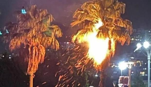 Sekapark’ta korku dolu anlar! Dilek feneri palmiye ağacını yaktı 