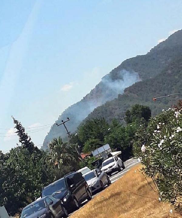 Muğla Köyceğiz'de yangın çıktı