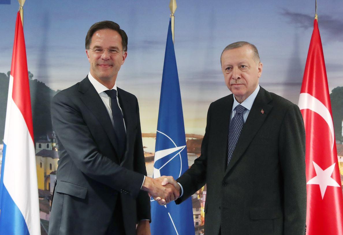 Hollanda Başbakanı Mark Rutte ile Erdoğan