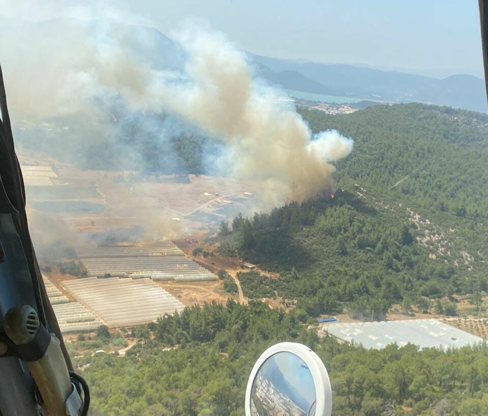 İzmir'de çıkan yangın ormana sıçradı