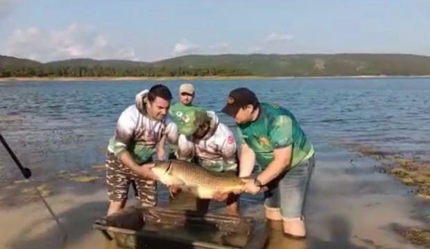 Ömerli Barajı’nda dev sazan balığı görenleri şaşırttı! Tam 22 kilo 500 gram