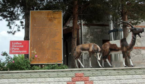 Erzincan’da bu sudan içenin şifalı bulduğu söyleniyor